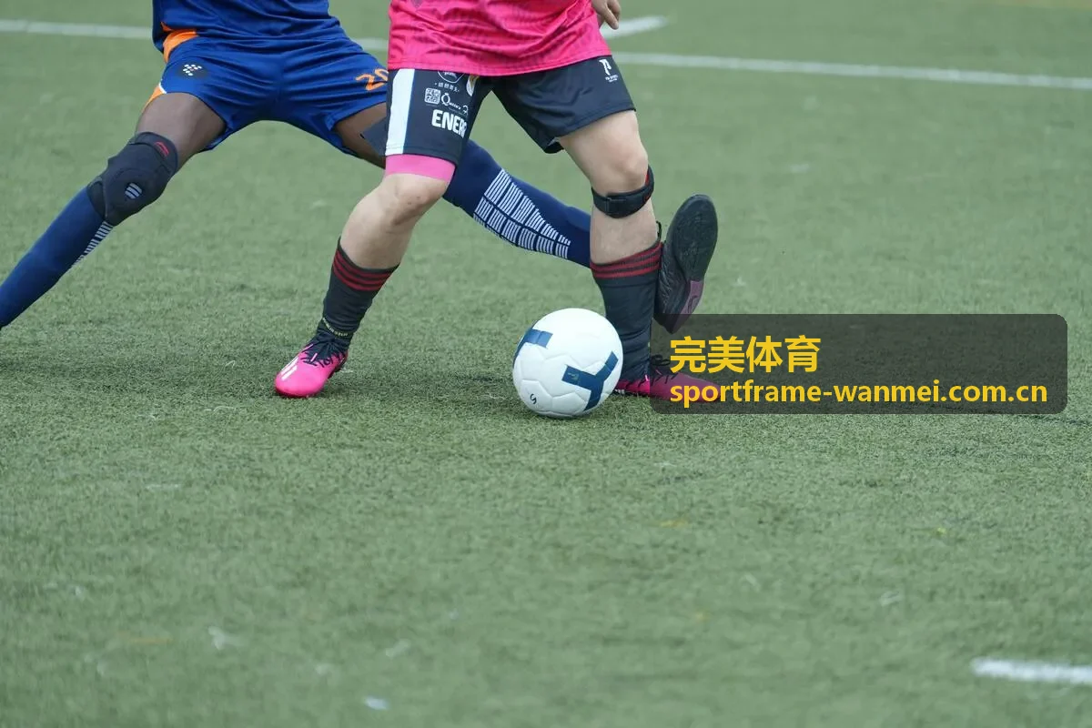 完美体育移动端服务
